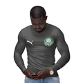 Camisa Manga Longa Térmica Masculina Tecido Ice Malha Fria com Proteção UV Fator 50+ Palmeiras