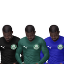 Kit 3 Camisas Térmicas Masculinas Tecido Ice Malha Fria com Proteção UV Fator 50+ Palmeiras