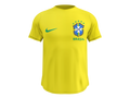 Camisa Masculina TechFit Malha Fria Anti-Suor Proteção Solar Seleção Brasileira